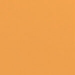 Doodlebug Design 12X12 TANGERINE Cardstock Paper Pack 5pc