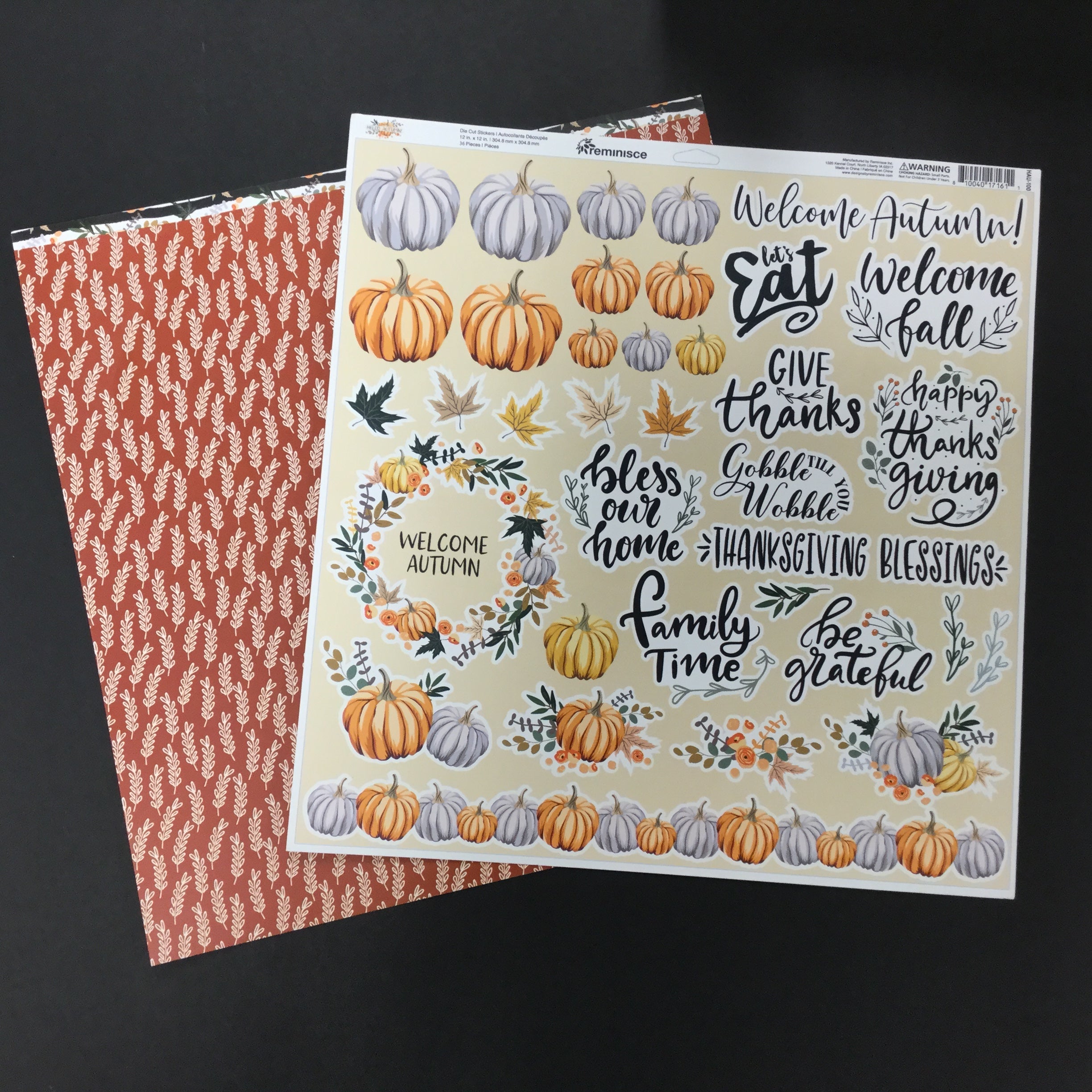 2693E5C9-F960-453A-A9E5-D37B690B206F Reminisce HELLO AUTUMN Paper Pack 2pc - Image 1