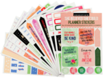 Peter Pauper Planner Stickers SHE BELIEVED SHE COULD Essentials