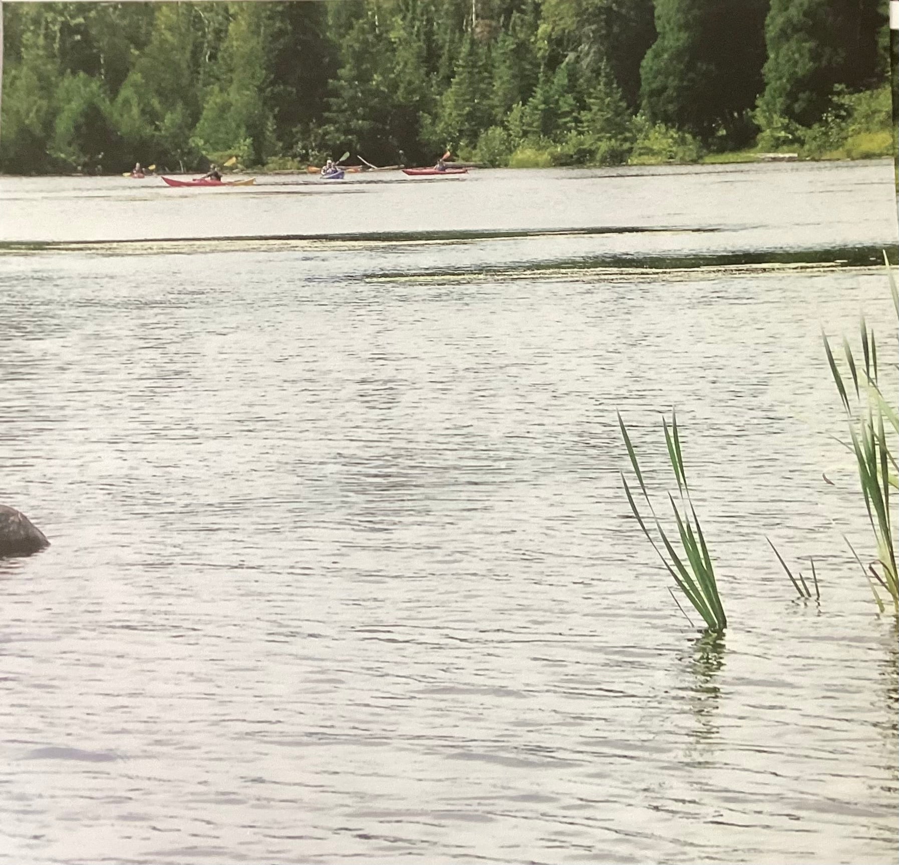 39D08E95-7940-4001-BE7F-CA6207582803 McRice KAYAKS 12"X12" Scrapbook Paper - Image 1