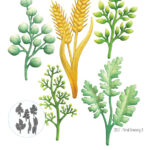 Elizabeth Craft FLORAL GREENERY 3 Metal Dies 6pc