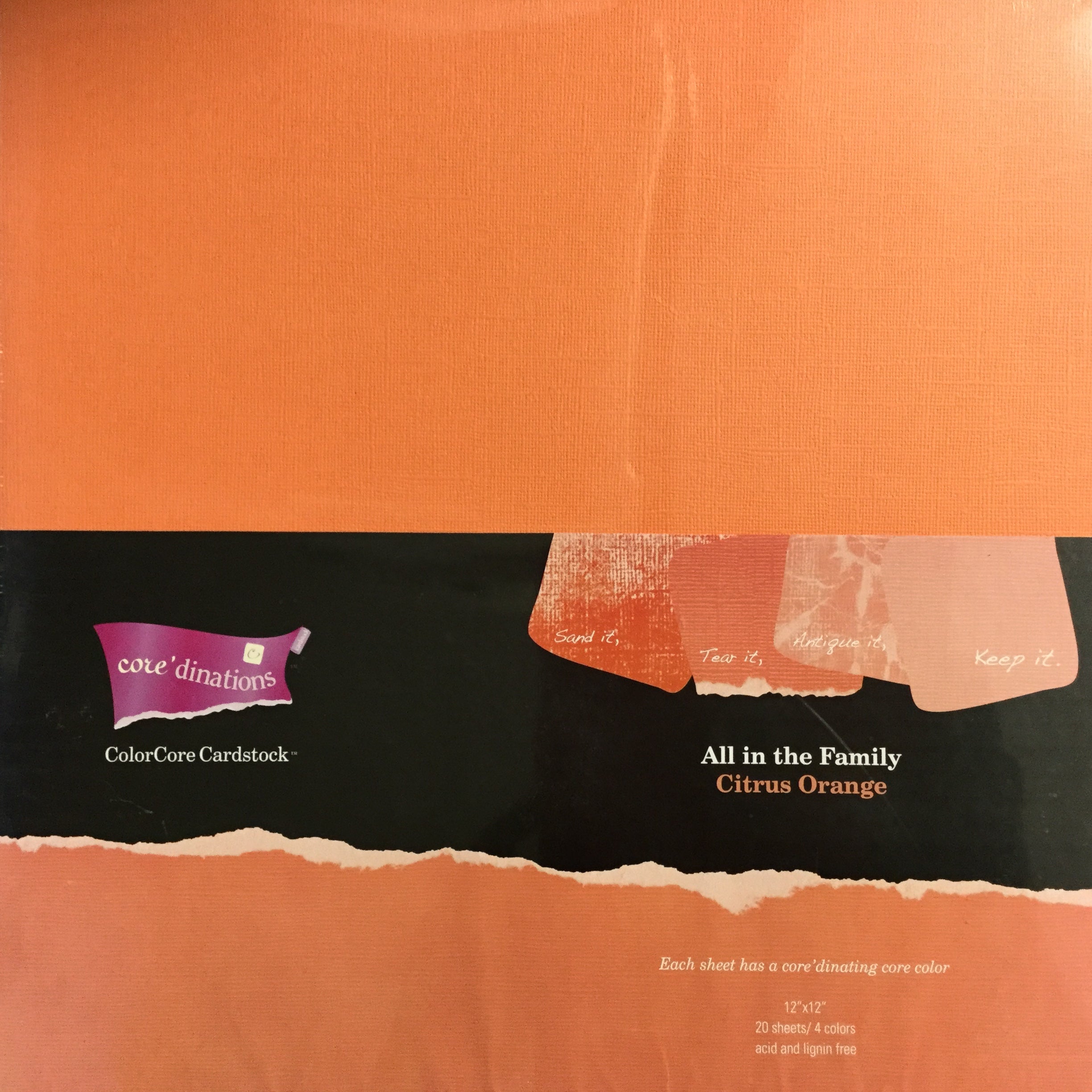 3D81195E-9FB9-4394-93BB-51AD3D2A6157 Core’dinations All In The Family CITRUS ORANGE 12x12 Paper Pack - Image 1