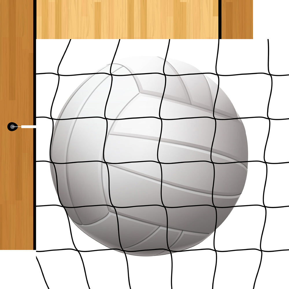 63ACA7A2-5654-43B9-A199-39535F624AE8 Echo Park VOLLEYBALL 12"X12" Paper - Image 1
