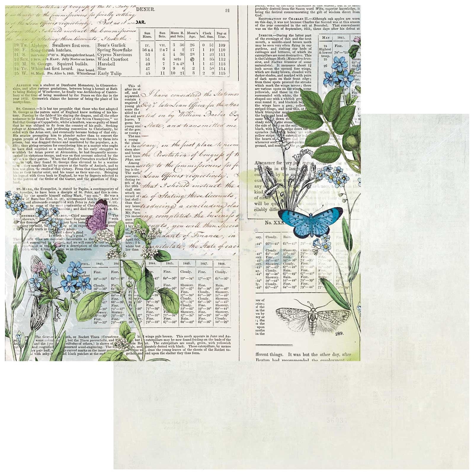 666693PR 49 and Market Curators Botanical RECORDS 12"X12" Scrapbook Paper - Image 1