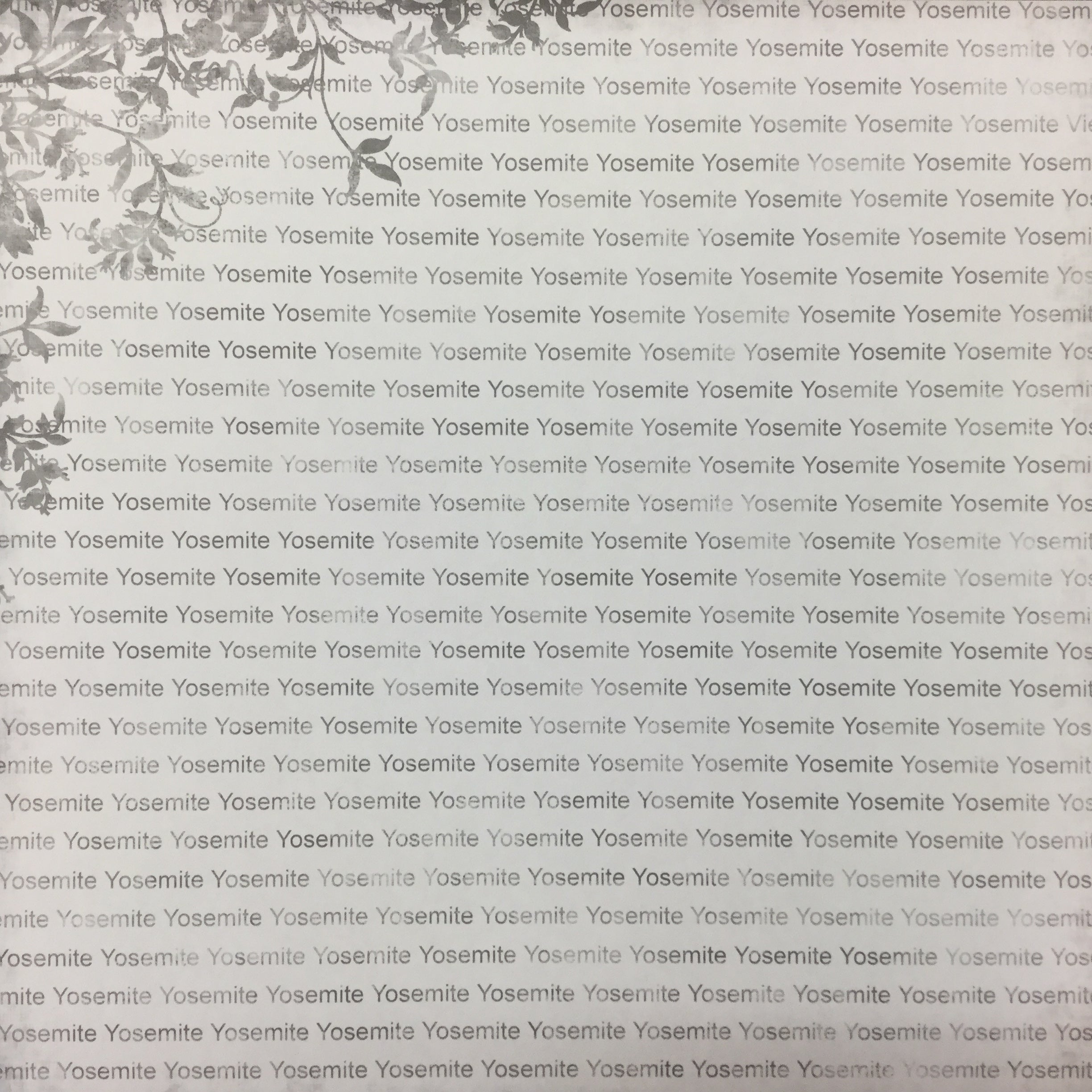 6FD2608F-FA9E-49A4-A07F-4CE7662A050D YOSEMITE Floral Left 12"X12" Scrapbook Paper - Image 1