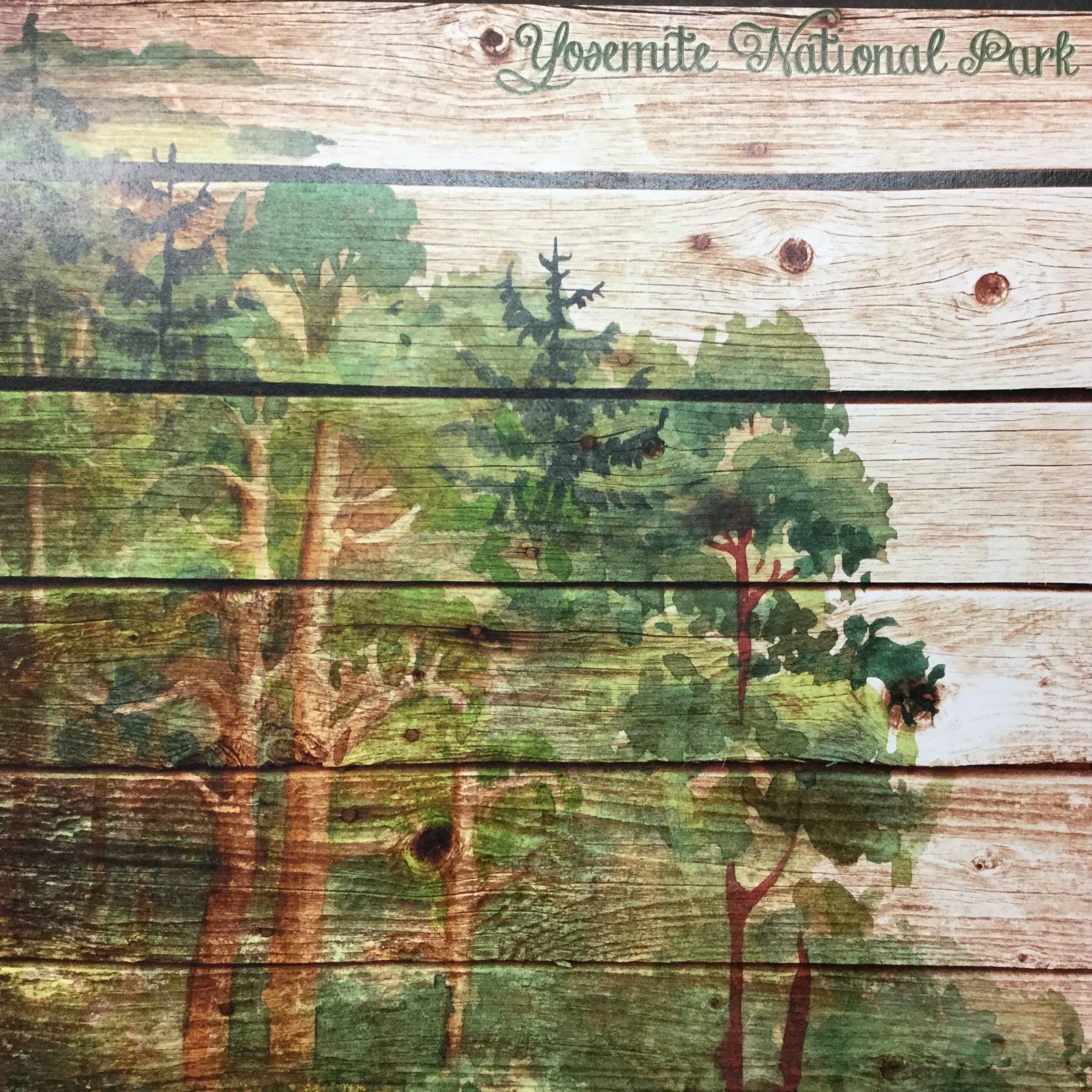 72E14A81-5EE0-426E-A619-35A2A877C3FF YOSEMITE NATIONAL PARK Wood Plank Forest 12"X12" Scrapbook Paper - Image 1