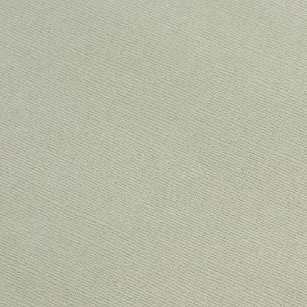 89265F0B-DB78-40FF-9666-95BD62991DC2 American Crafts 12”X12” Core’dinations ELEPHANT Cardstock Paper - Image 1