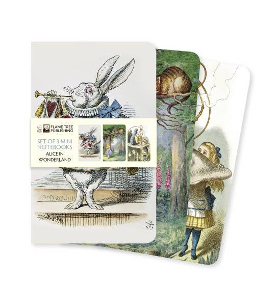 8e1bbbaa4a0221fa8fa72952a19769ddd374b5c7622a33a8b1f54b032053fe81 Softcover Alice In WONDERLAND SET of 3 Mini Notebooks - Image 1