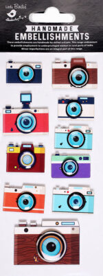 Little Birdie CAMERA GALLERY RESIN Stickers Handmade Embellishments 10pc
