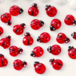 Scrapbooksrus 3D MINI LADYBUGS Embellishments 20pc