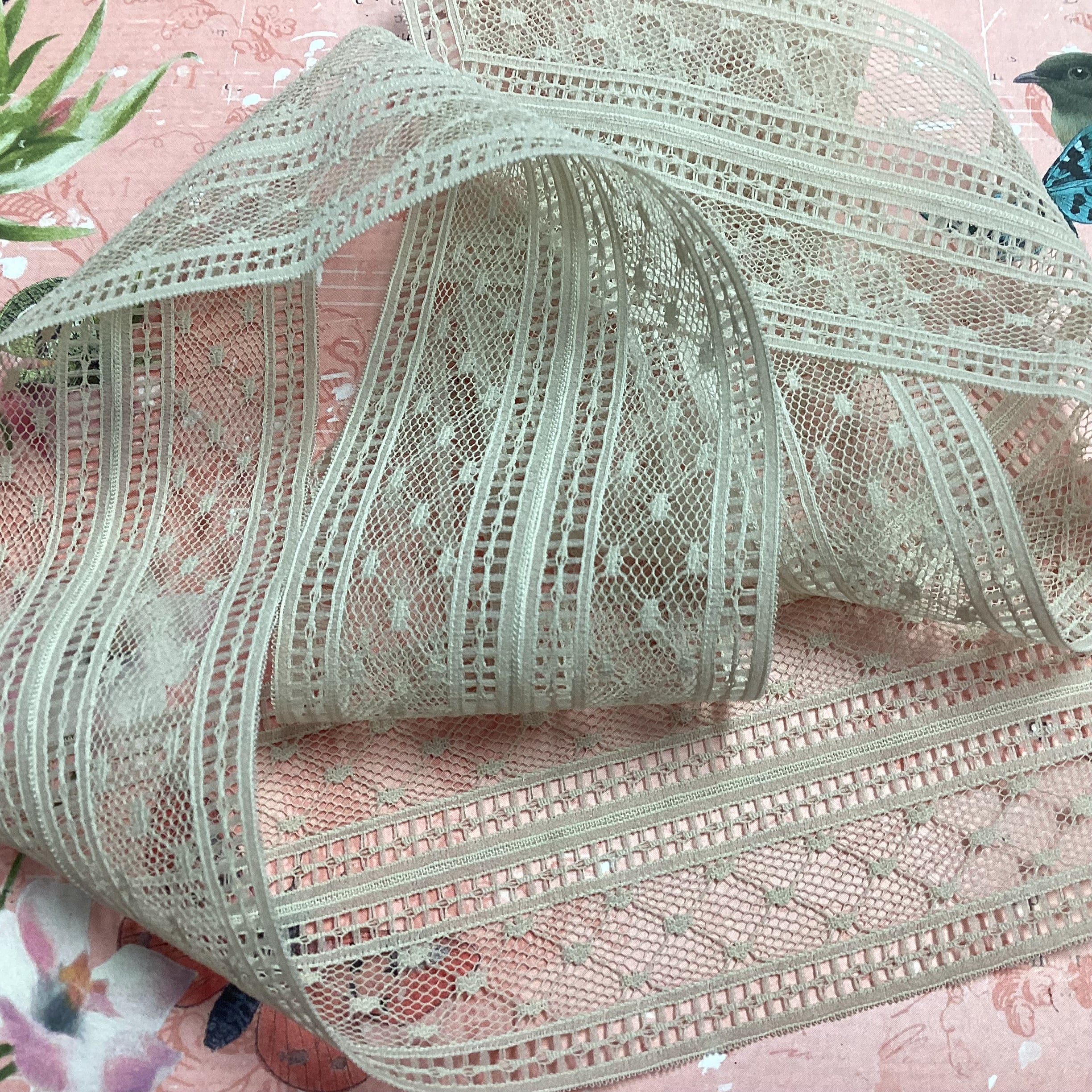 ED812BCD-3301-4313-B549-4E7D56E243C2 Scrapbooksrus Vintage Lace STRAIGHT GATE ALMOND Ribbon Trim 2.5”X1yd - Image 1