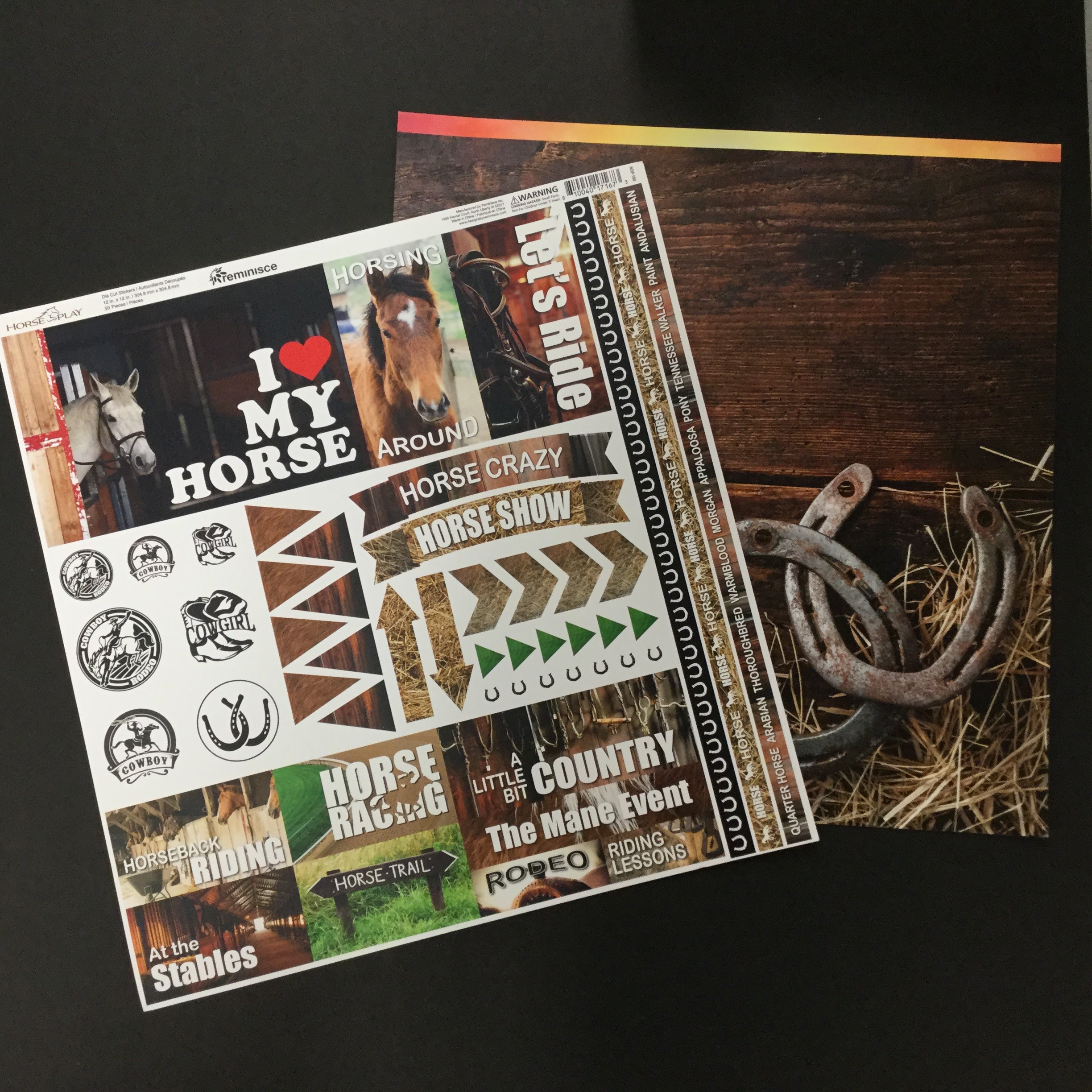 F2E8B2FD-8E8B-4EB9-A542-8229FDD64082 Reminisce HORSE PLAY Paper Pack 2pc - Image 1