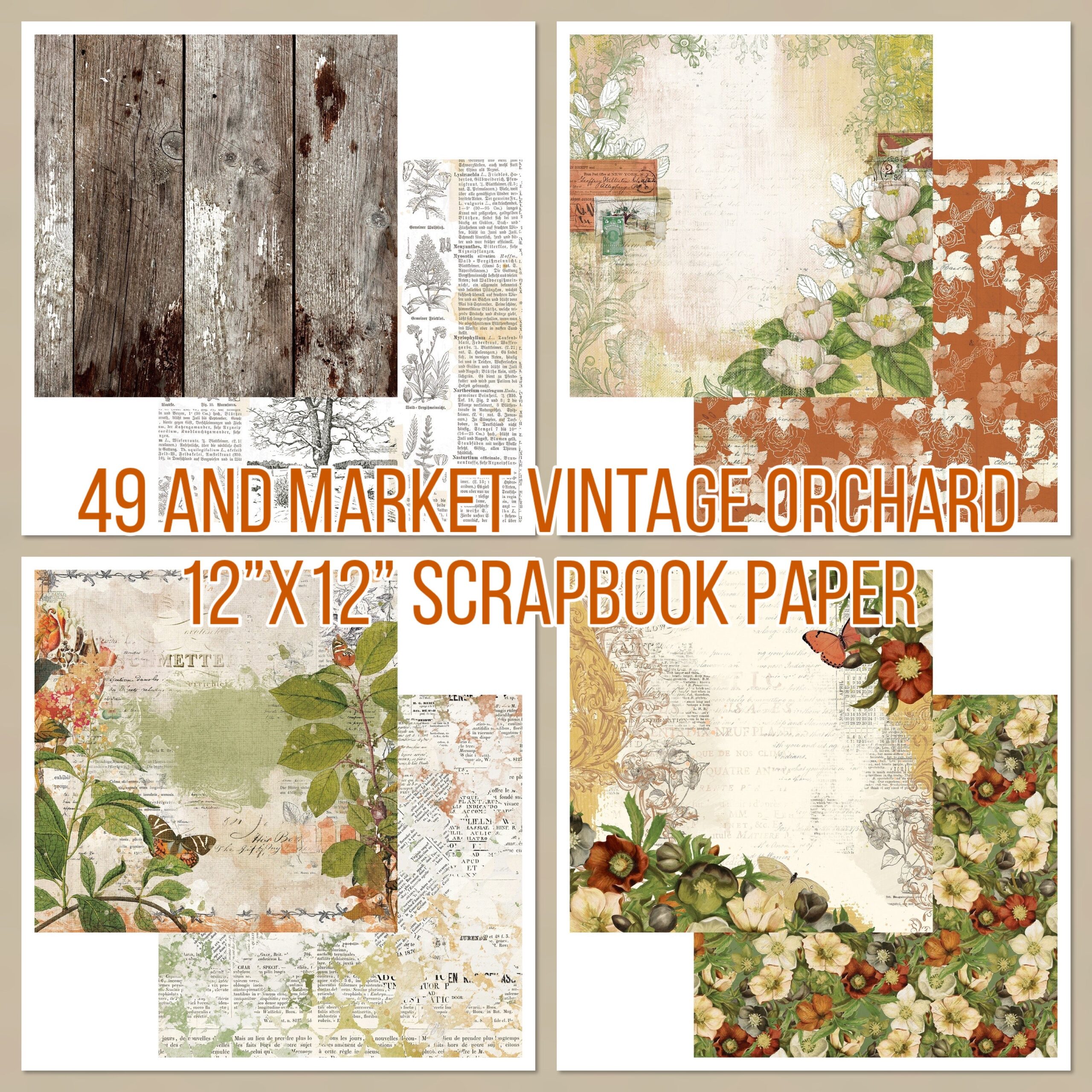 FE455892-B804-4B18-AC57-C422508A2508 49 and Market VINTAGE ORCHARD 12”X12” Scrapbook Paper - Image 1