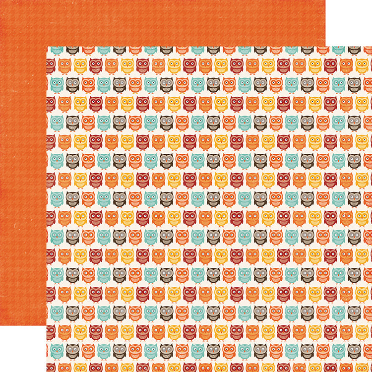 IMG_2894 Echo Park A Perfect Autumn OWL FRIENDS 12x12 Scrapbook Paper - Image 1