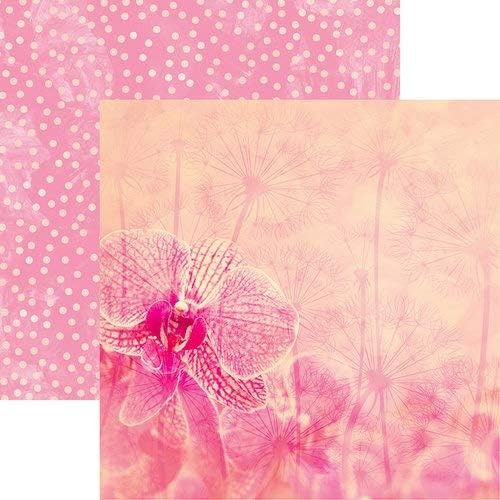 image_2ab83692-5ad2-4dce-85b7-a6e87d60bcf7 Ella & Viv BE BRAVE 12"X12" Scrapbook Paper - Image 1