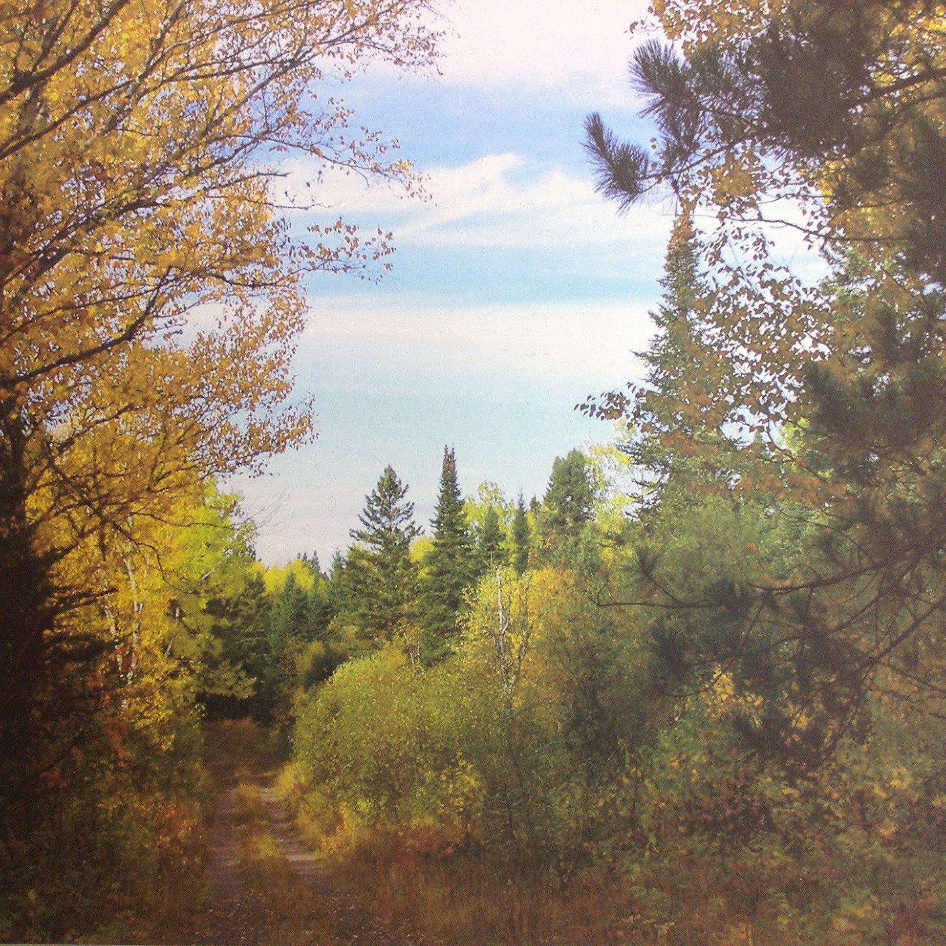 image_498119df-1050-47a2-8809-4136841a538c McRice Photo HUNTING TRAIL 12"X12" Sheet - Image 1