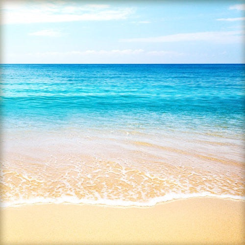 image_e80940e2-3787-4046-8f53-da68ec18611f TROPICAL BEACH Companion Sheet 12"X12" Scrapbook Paper - Image 1