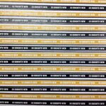 GOLDEN KNIGHTS True To Your Mascot 12"X12" Cardstock Sheet LV - Image 3