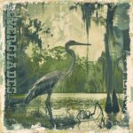Scrapbooksrus NATIONAL PARKS PACK 12pc 12"X12" Scrapbook Paper - Image 6