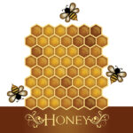 HONEY 12"X12" Honeycomb Scrapbook Paper