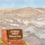 PETRIFIED FOREST KIT Papers and Stickers 5pc National Park Arizona - Image 2