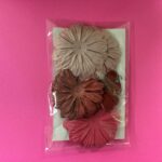Big Daisies 20pc PINK & MAROON