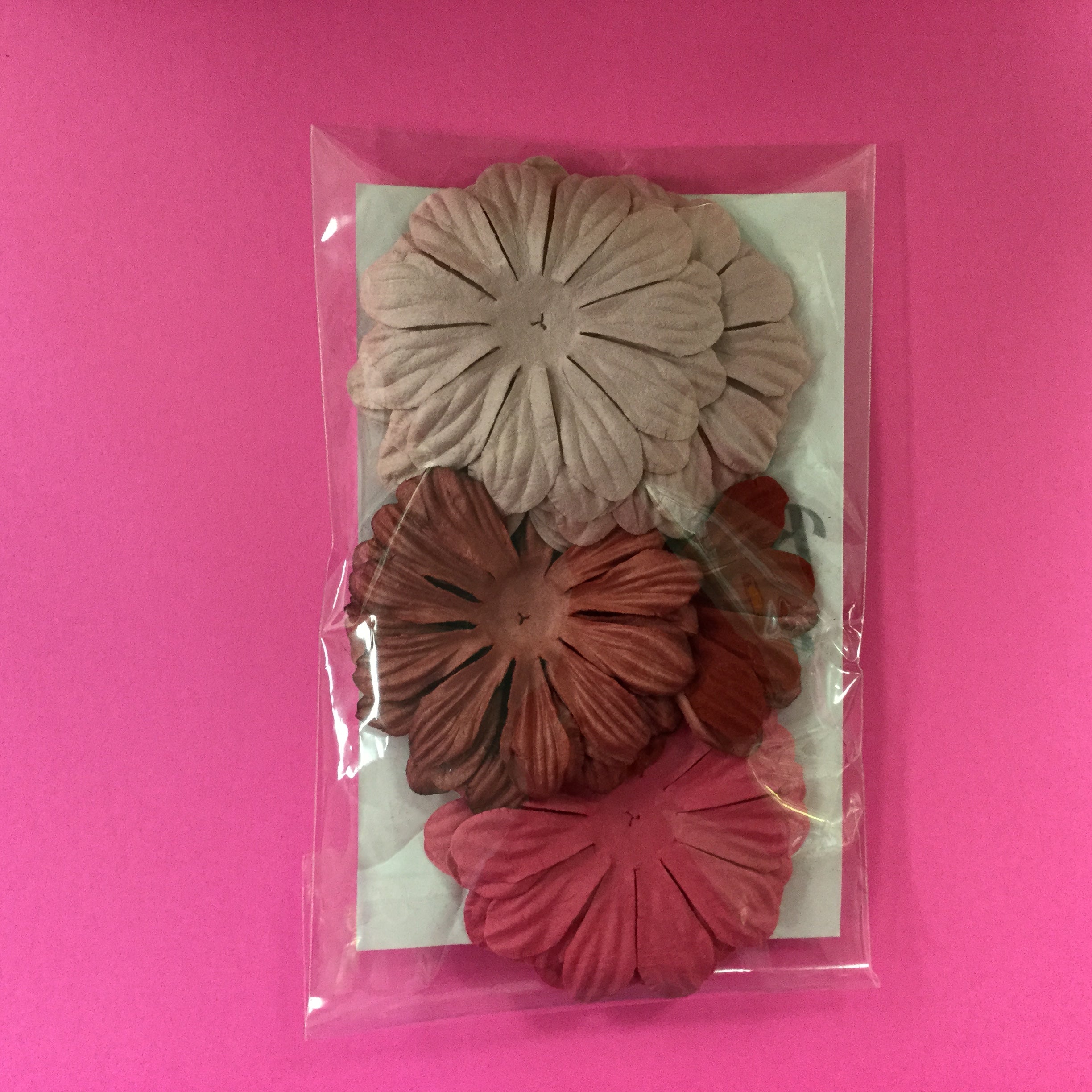153623FC-B878-4A0B-B7AB-19B32E22902E.jpg Big Daisies 20pc PINK & MAROON - Image 1