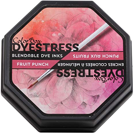 154A79E3-726C-4D59-888A-E12930B70AF4.jpeg ColorBox Dyestress FRUIT PUNCH Blendable Dye Ink - Image 1