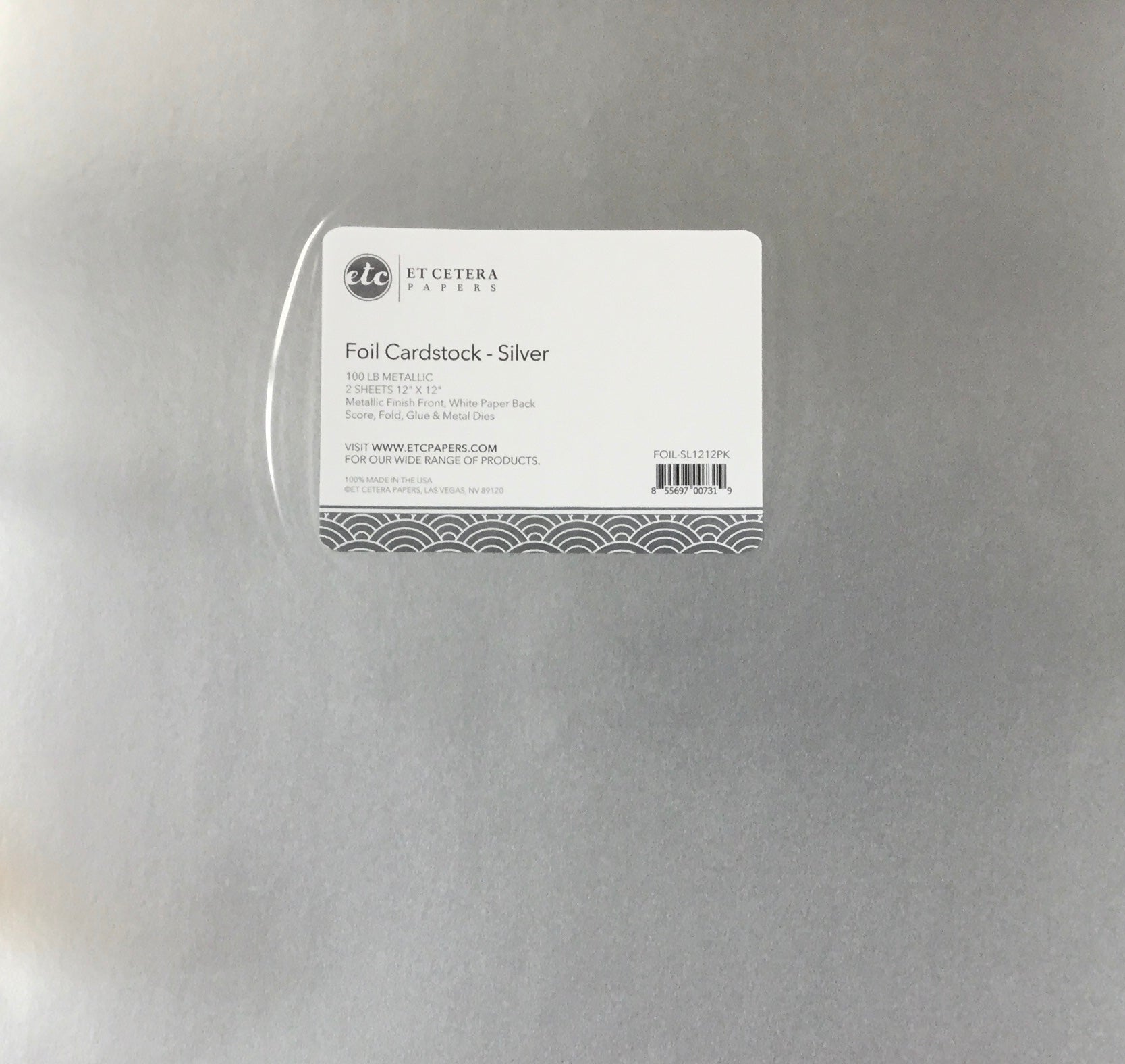 17DA39F9-7DBA-49FE-8A09-FF06D7CB68E6.jpg Etcetera SILVER 12"X12" Foil Cardstock Paper - Image 1