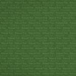 Scrapbook Customs NATIONAL PARK MAP AND WORDS 12"X12" Scrapbook Paper - Image 22