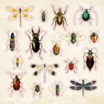 Peter Pauper The Sticker Book of CURIOSITIES - Image 11