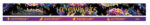 Paper House Wizarding World HARRY POTTER Washi Tape 2 Rolls - Image 11