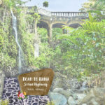Hawaii Maui ROAD TO HANA SCENIC HIGHWAY Watercolor 12"X12" Scrapbook Paper - Image 3