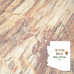 PETRIFIED FOREST KIT Papers and Stickers 5pc National Park Arizona - Image 3