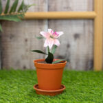 Crafter’s Companion Garden Florals LILY BUNDLE Flower Die - Image 3