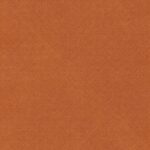 49 and Market VINTAGE ORCHARD SOLIDS 12”X12” Scrapbook Paper - Image 2