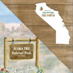 JOSHUA TREE National Park Watercolor 12"X12" Scrapbook Kit 4pc - Image 4