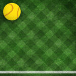 SOFTBALL & FIELD 12X12 5pc Kit Scrapbook Customs Sports - Image 6