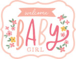 Echo Park WELCOME BABY GIRL 12"X12" Scrapbook Collection Kit - Image 2