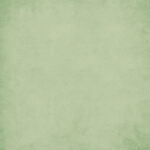 Simple Stories SIMPLE VINTAGE MEADOW FLOWERS BASICS 12”X12” Scrapbook Paper - Image 9