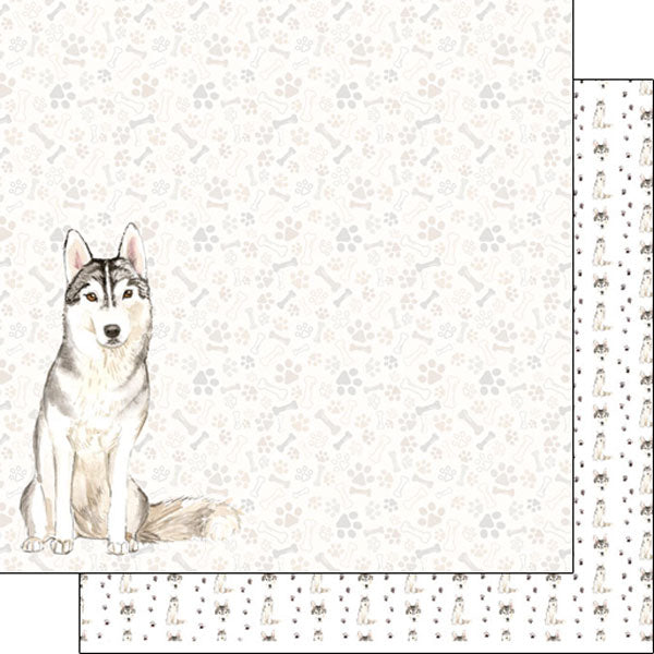 3F5DE95B-C166-4C95-9AAA-18AEF326C176.jpg Scrapbook Customs SIBERIAN HUSKY DS Watercolor 12"X12" Scrapbook Paper - Image 1