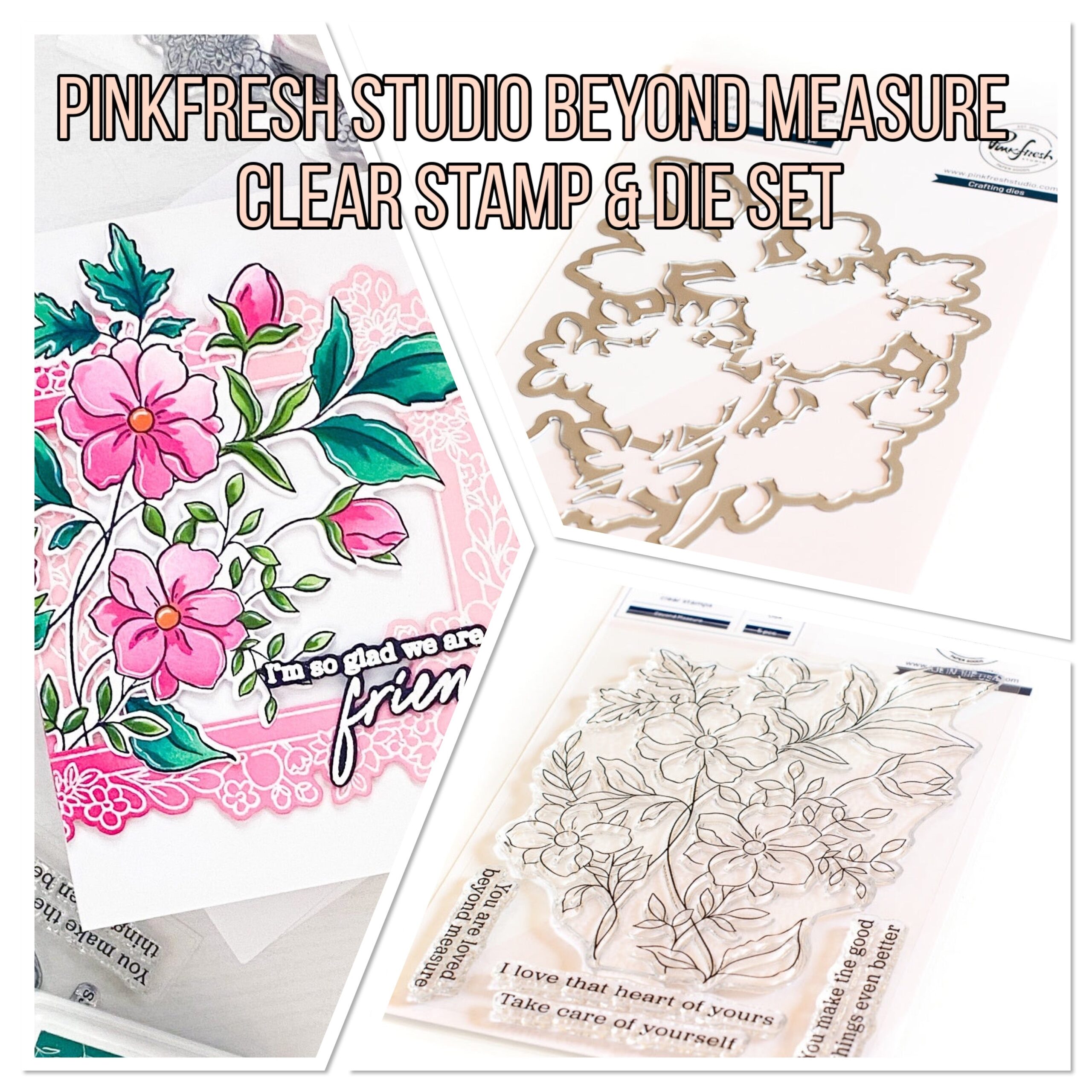 40CDBB98-D29D-4C93-9E81-46FD49391244.jpg Pinkfresh Studio BEYOND MEASURE Clear Stamp & Die Set 6pc - Image 1