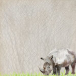 Scrapbook Customs SAFARI RHINO 12"X12" Scrapbook Paper - Image 2