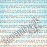 BELIZE Tropical Journal 12"X12" Scrapbook Travel Paper - Image 2