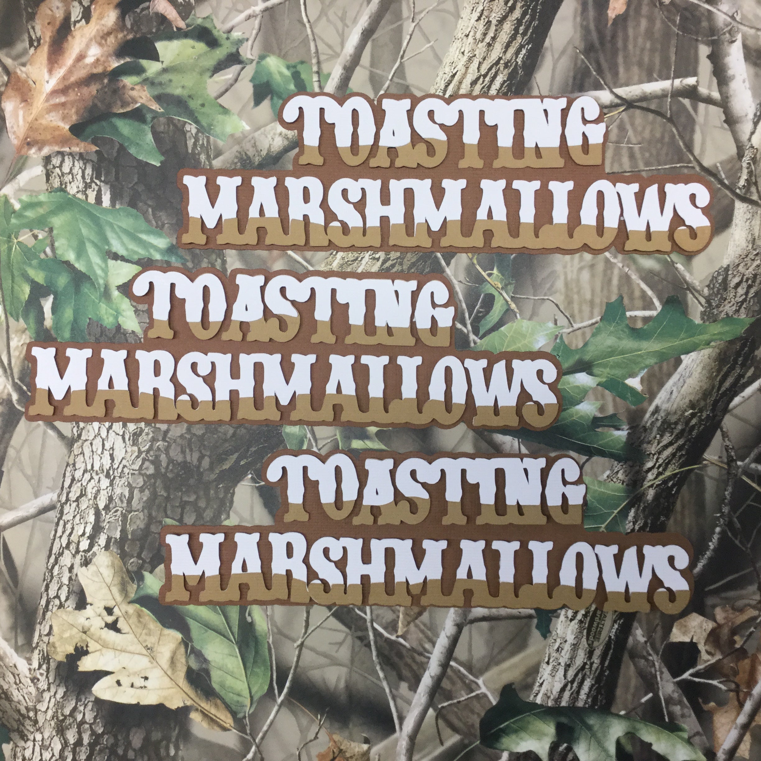 44BFE614-374A-4032-AB5B-3B0292C2CF34.jpeg Scrapbooksrus TOASTING MARSHMALLOWS Die Cut Diecut S’more Camping - Image 1