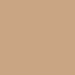 Echo Park Winnie the Pooh Christmas RED TAN Solids 12X12 Scrapbook Paper - Image 3