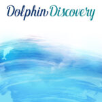 DOLPHIN DISCOVERY Double Sided 12X12 Paper Scrapbook Customs - Image 2