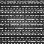 VOLLEYBALL DS CHALKBOARD SPORTS 12x12 Scrapbook Paper - Image 3