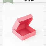 Echo Park PIZZA BOX 3-D Designer Die Set
