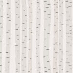 NPWC BIRCH TREE BARK National Park 12"X12" Scrapbook Paper - Image 2